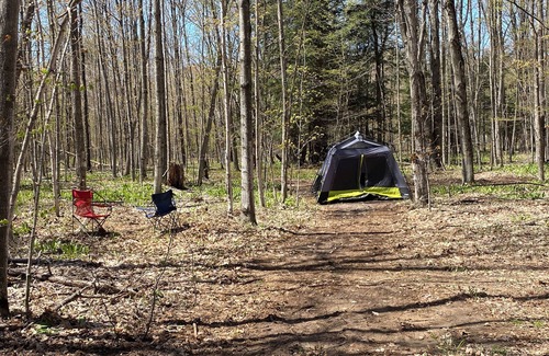 Beulah RV Rental | #3 Private Wooded Campsite for Tents or Small RV's
