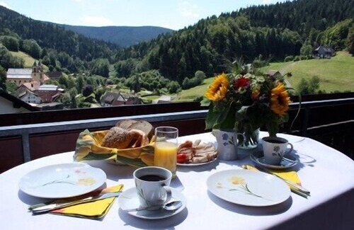 Bad Rippoldsau-Schapbach Apartment | 3 star apartment, sunny location facing south, marvellous view, winter sports