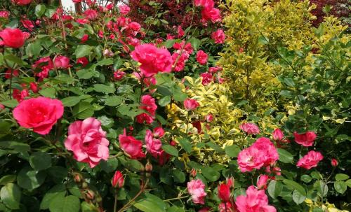 Castel d'Ario Bed & Breakfast | 3 Tesori B&B