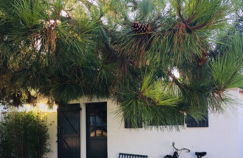 L'Epine House | 300m from the beach, house with terrace and large private garden