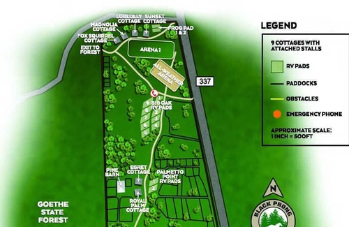 Bronson Cottage | 35 minutes from both Gainesville and Ocala, 20 minutes from HITS