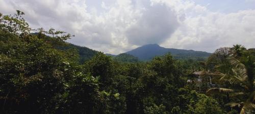 Kithulgala Hotel | 38 guest house