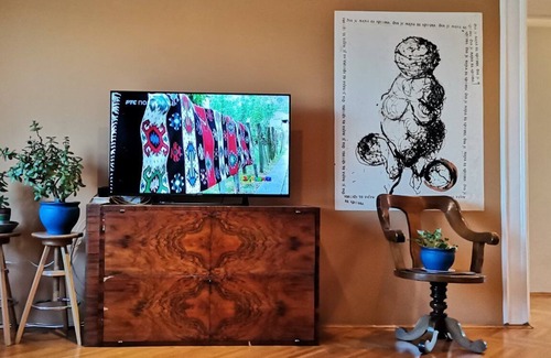 Novi Sad Apartment | 3bedroom, 1.5 bathroom riverfront location in city center