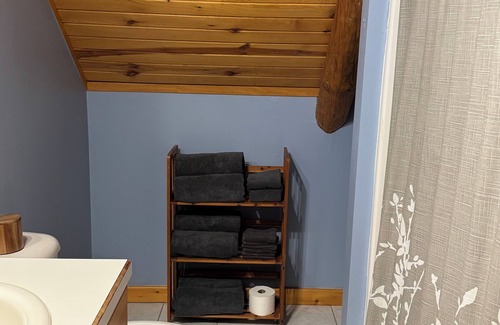 Barryton Cabin | 4-bedroom log cabin lodge with Heated in-ground pool, fiber internet and AC