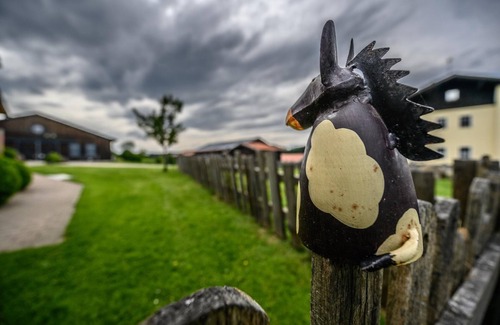 Barnzell Apartment | 4 Sterne Fewo mit kostenloser Reitmöglichkeit