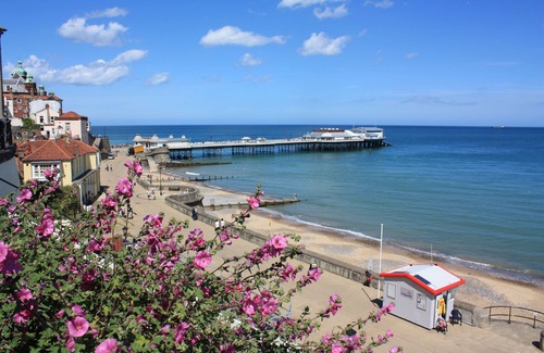 Cromer Cottage | 48 Kings Chalet Park - a holiday chalet that sleeps 4 guests in 2 bedrooms
