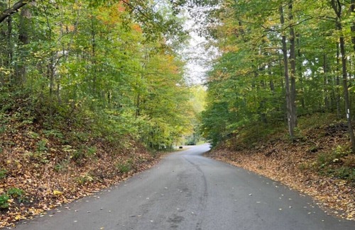 Rosemount House | 48H-3 · Kingsdale Designer Tiny House with Tesla Charger