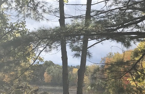 Battle Creek House | 5 acre property with sunsets on marsh. Pet friendly.Fort Custer