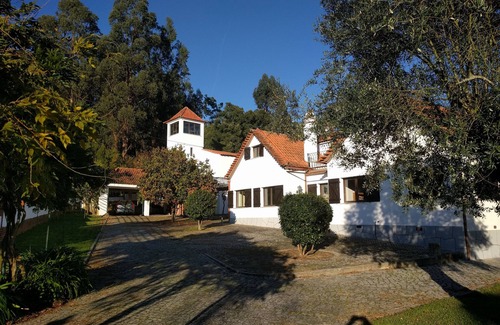 Santa Comba Dao Villa | 5-bedroomed villa, private pool, large secure garden