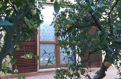 Donoratico Villa | 5 minutes from the seaside! family-sized villa perfect for families and pets!