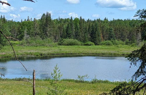 Riviere-Rouge Ski Chalet | 7- Forfait domaine privé de 50 acres en forêt au bord de la rivière rouge