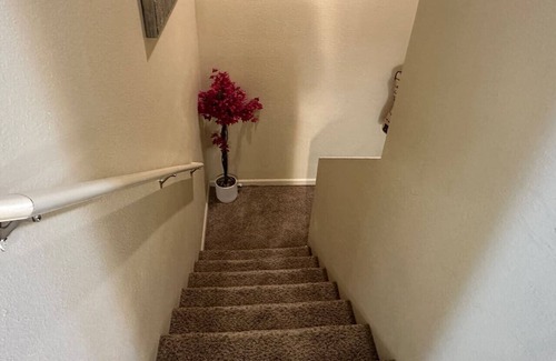 Williston House | 713 Section 2 luxury townhouse