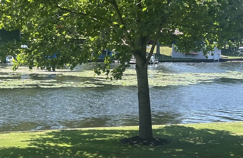 Ludington Cottage | #8 cottage comes with boat docks and shares over 600’ of frontage on Hamlin lake