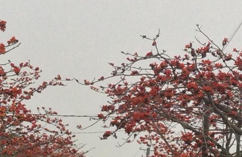 West Central District House | 84 In Tainan