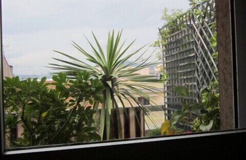 Jean-Medecin Apartment | A 35-sq.m studio with a terrace, a 30-sq.m garden on the top floor: calm and bri