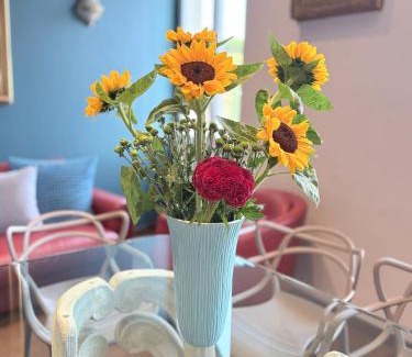 Celio Apartment | A Casa di Lu, al Colosseo - Guest House