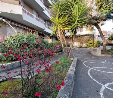 Nettuno Bed & Breakfast | A Casa di Vale