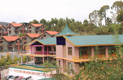 Chachian Cottage | A Cottage for Solitary Nature Lovers amidst Jungles, Mountains and Tea Gardens