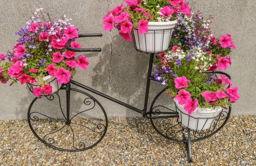Turloughmore Cottage | A COUNTRY VIEW COTTAGE, family friendly in Athenry, County Galway