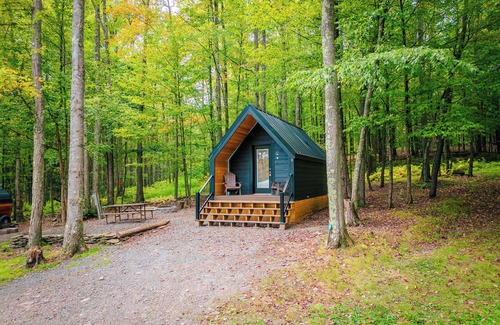 Wellsboro Cabin | A-frame 1 Summary: We