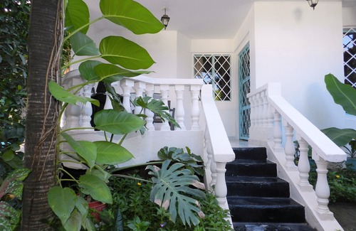 Mamatoco House | A green oasis within the city.