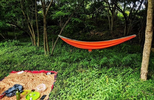 Anekal House | A Home in the Woods