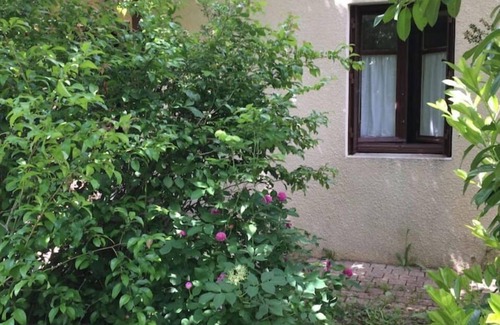 Bard-le-Regulier House | A house to recharge your batteries in the heart of the Morvan Park