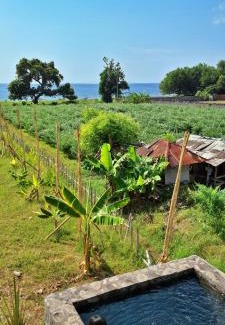 Kalisada Other | A Mango Tree House with a private swimming pool