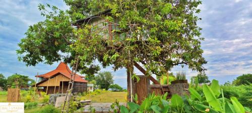 Kalisada Other | A Mango Tree House with a private swimming pool