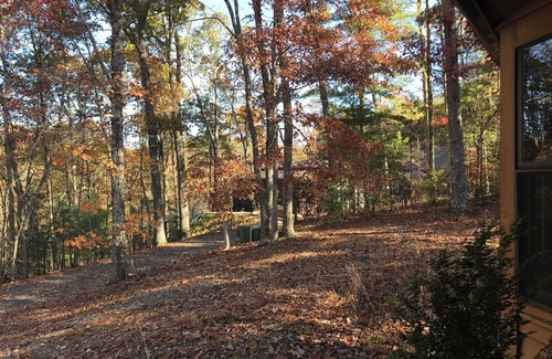 Murphy Cabin | A peaceful haven in the Smokies for birdwatchers and nature lovers alike.