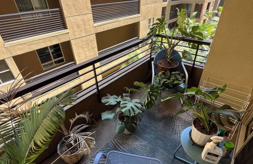 Golden Hill Apartment | A Private Room; in the Heart of San Diego
