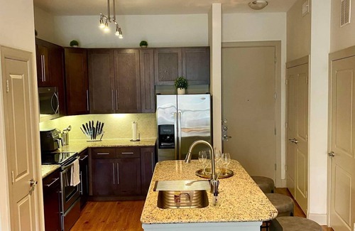 Astrodome Apartment | A Retreat in the Heart of Houston - NRG/Med Center/Downtown/Midtown