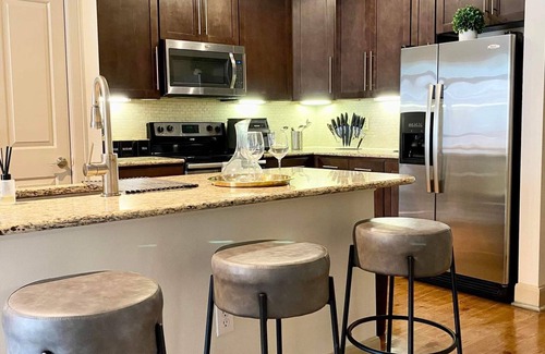 Astrodome Apartment | A Retreat in the Heart of Houston - NRG/Med Center/Downtown/Midtown