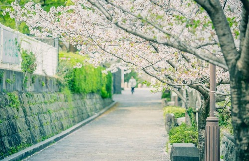 Chuo Ward Apartment | A spacious room on one floor for private use near /Kumamoto Kumamoto