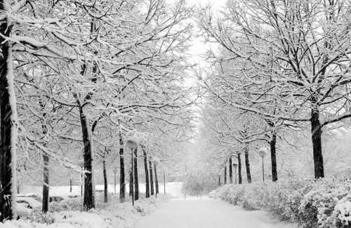 Sainte-Foy-Sillery-Cap-Rouge House | a step away of the (OLD QUEBEC)