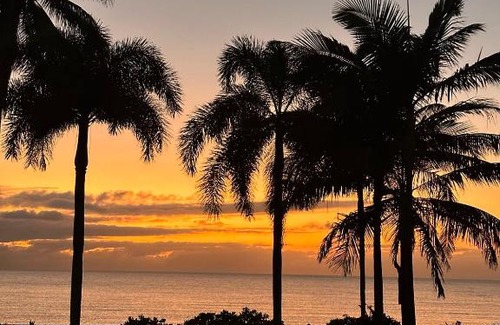 Newell House | ABSOLUTE BEACHFRONT BLISS - NEWELL BEACH - 10 Metres to the Ocean