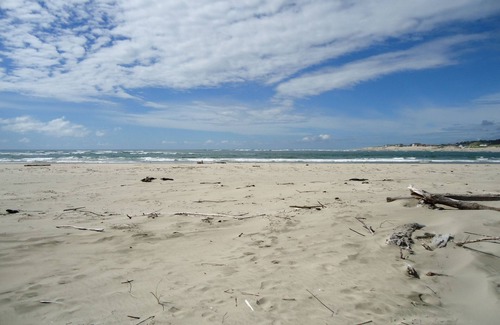 Waldport Apartment | Access to the Best Beach on the Beautiful Central Oregon Coast!