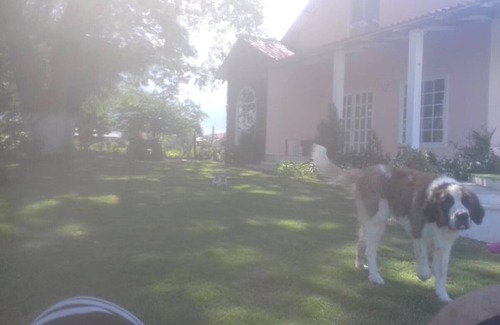 Sabanagrande Other | acojedora cabaña campestre