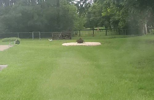 Aiken House | Acreage with pool in town