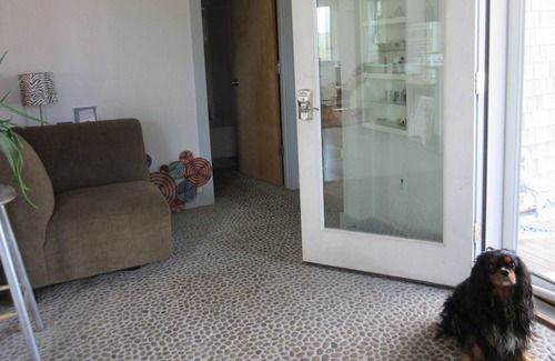 Scituate House | Across from Ocean. Small pets welcome