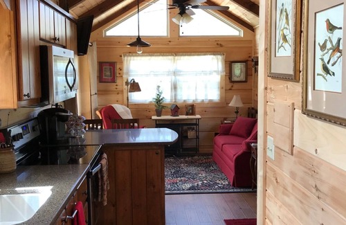 Candler Cabin | Adorable Cabin with big mountain views 12 Minutes to DT Asheville