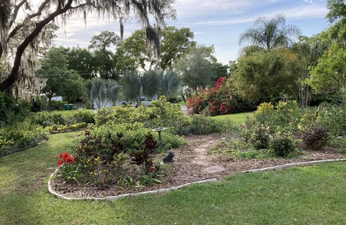 Mount Dora House | Adorable House In Mount Dora