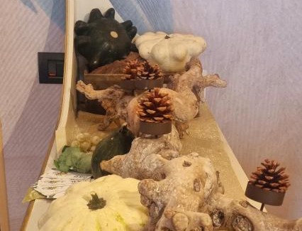 Cittadella House | Affittacamere Ai Fiori