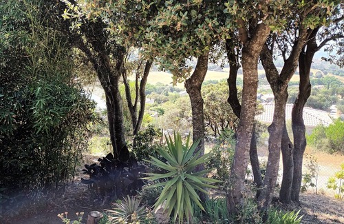 Alata House | Agréable T3 Meublé, Arboré Avec Jardin Privatif Proche Ajaccio