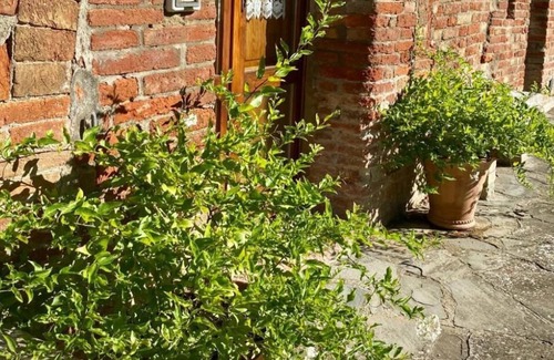 Ferretto Apartment | Agriturismo "agrocentorio" Tuscany private villa