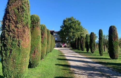 Pescantina Apartment | Agriturismo Corte Bonetti - Appartamento Il Salice