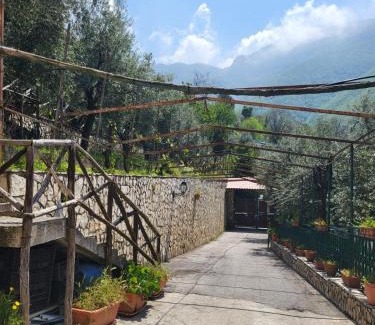 Gragnano House | Agriturismo L'Uliveto
