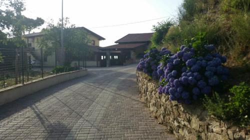 Corigliano-Rossano House | Agriturismo La Pigna