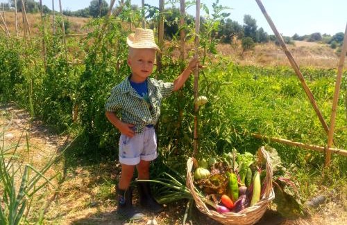 Avola House | Agriturismo PALMERI