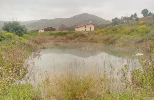 Avola House | Agriturismo PALMERI